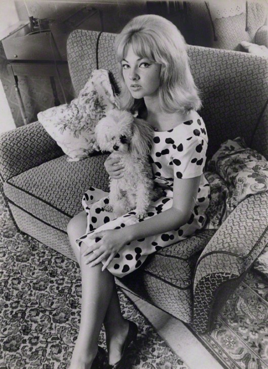 NPG x137326; Mandy Rice-Davies with her poodle by Keystone Press Agency Ltd